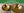 Vibroacoustic Himalayan Singing Bowls