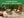 Vibroacoustic Himalayan Singing Bowls