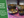 Vintage and Antique Himalayan Singing Bowls